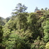 Biodiversity of Subtropical Forest in China icon