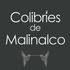 Colibríes de Malinalco icon