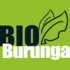 BioBurunga icon