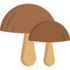 Wild Edible Mushrooms of North America icon