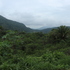 Monitoring Tropical  Dry Forest in Montes de Maria icon