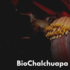 BioChalchuapa icon