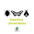 Microcosmos: Insectos javerianos icon