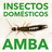 Insectos domésticos del AMBA icon