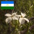 Биоразнообразие Башкортостана icon