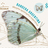 Mariposas y Polillas de Argentina – Lepidoptera of Argentina icon