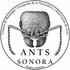 Ants Sonora icon