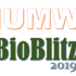 KVCNC19: IUMW-Bioblitz icon