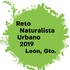 Reto Naturalista Urbano 2019: León, Gto, México icon