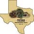 Texas Herpetological Society Spring Field Meet icon