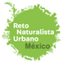 Reto Naturalista Urbano 2019: Seybaplaya, Campeche icon