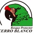 Descubriendo el Bosque Protector Cerro Blanco icon