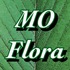 Flora of Missouri icon