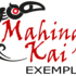 Mahinga Kai Exemplar Birds icon