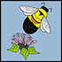 BACKYARD BUMBLE BEE COUNT icon