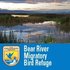 City Nature Challenge 2019: Bear River Migratory Bird Refuge icon