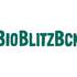 BioBlitzBcn icon