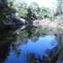 Piney Creek, Bastrop Texas icon
