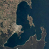 Introduced marine species in Boston Bay, South Australia icon
