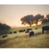 Holistic Ag Pepperwood Grazing Observations icon