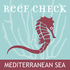 Mediterranean marine protected invertebrates icon