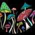 Fungi Risaralda icon