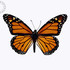 Nebraska Butterflies icon