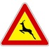 Italian Road Mortality icon