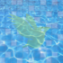 Animals in Swimming Pools icon