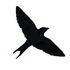 Aves de Tarapacá icon
