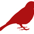 Rocky Top Bird Strikes Project icon