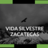 Vida Silvestre en Zacatecas icon