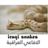 Iraqi snakes  الافاعي العراقية icon