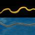 Yellow and Yellow-bellied Sea Snake (Hydrophis platurus/spiralis) icon
