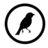Aves de Subachoque icon