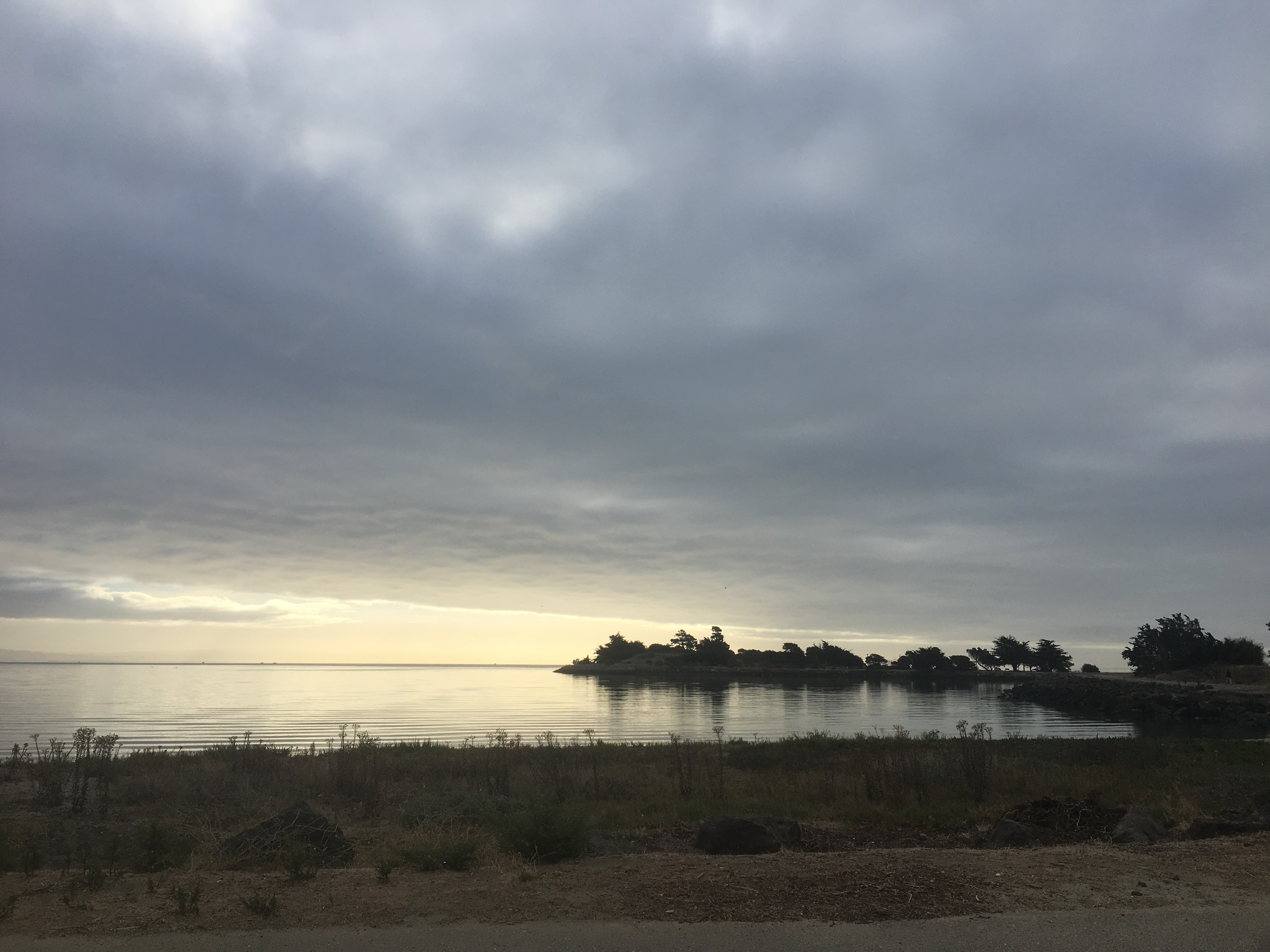 Candlestick State Park Bioblitz 2019 · iNaturalist