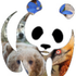 Biodiversità Oasi WWF icon