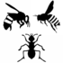 Georgia Southern Hymenopteran Insect Survey icon