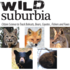 Wild Suburbia - New York &amp; CT icon