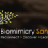 Bioblitz of the Americas - Torrey Pines, CA 2016 icon