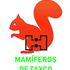 Mamiferos de Taxco de Alarcón y áreas adyacentes. icon