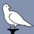 Manchester Pigeons and Doves icon