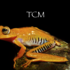 SKIS - TCM icon