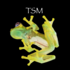 SKIS - TSM icon