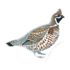 Птицы Республики Саха (Якутия) icon