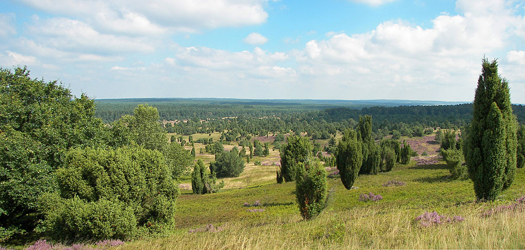 Naturschutzgebiet Lüneburger Heide · NaturaLista Mexico