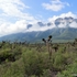 Área Estatal Protegida Cerro de las Mitras icon