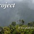 Aloha 'Aina Pauoa Stream Project icon