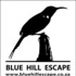 Blue Hill Nature Reserve icon