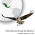 Aves rapaces diurnas de México icon